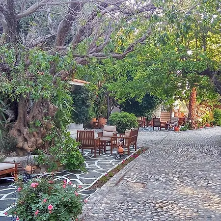 Oasis Rhodes 3* Afando