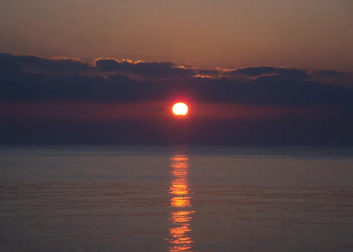 Oasis Rhodes فندق