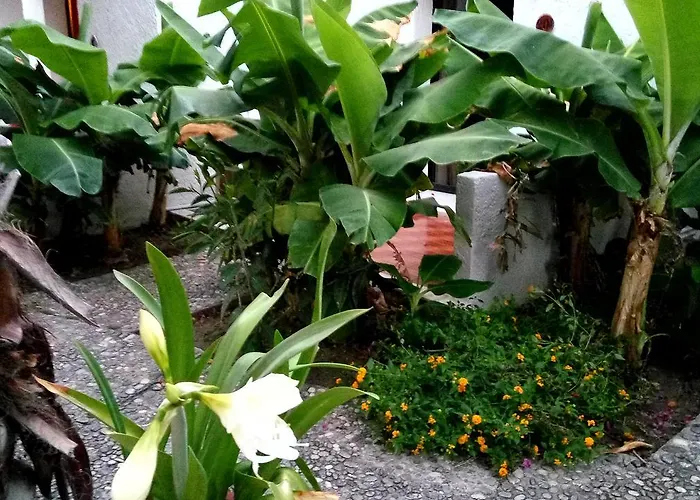 فندق Oasis Rhodes