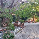 Oasis Rhodes 3* Afantou