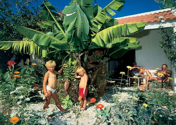 מלון Oasis Rhodes 3*