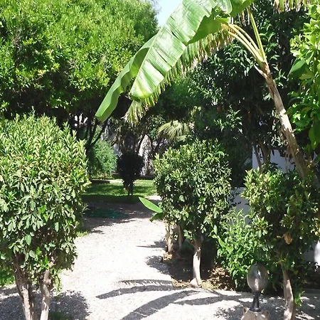 Hotel Oasis Rhodes