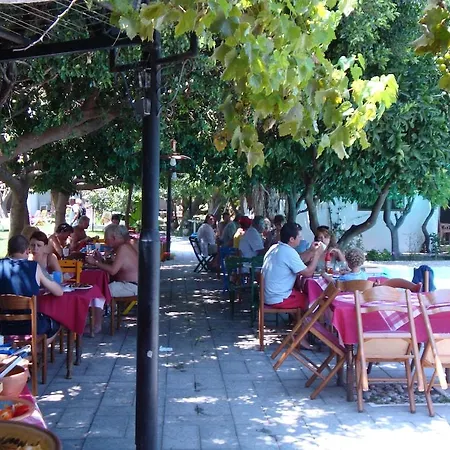 Oasis Rhodes