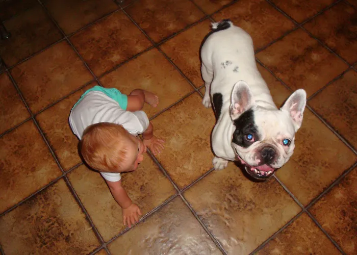 Oasis Rhodes 3* Afandou