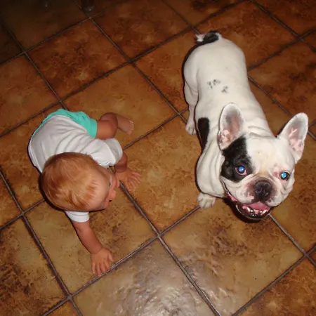 Oasis Rhodes 3* 아판토우