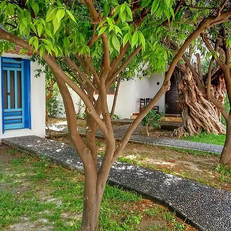 Hotel Oasis Rhodes Afantou